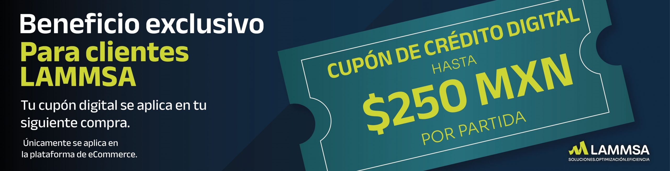 Banner Print LAMMSA